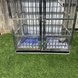 Dog Crate