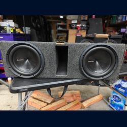 Phoenix Gold 10" Subs In A Custom Ported Box 