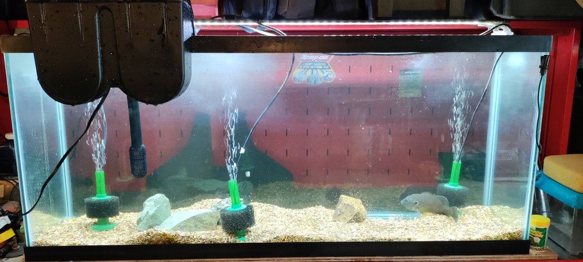 55 Gallon Fish Tank Aquarium 