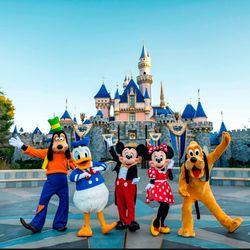 Disneyland Ticket 
