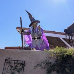 Halloween Home Depot Witch 