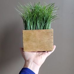 Faux Plant Rectangle