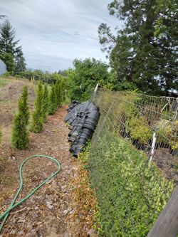 Plastic Pot For Planting 