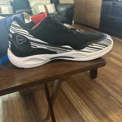 Q4 WHITE STREAK 495 LO SP size 12.5