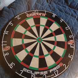 Pro Style Dart Board! $20 OBO!