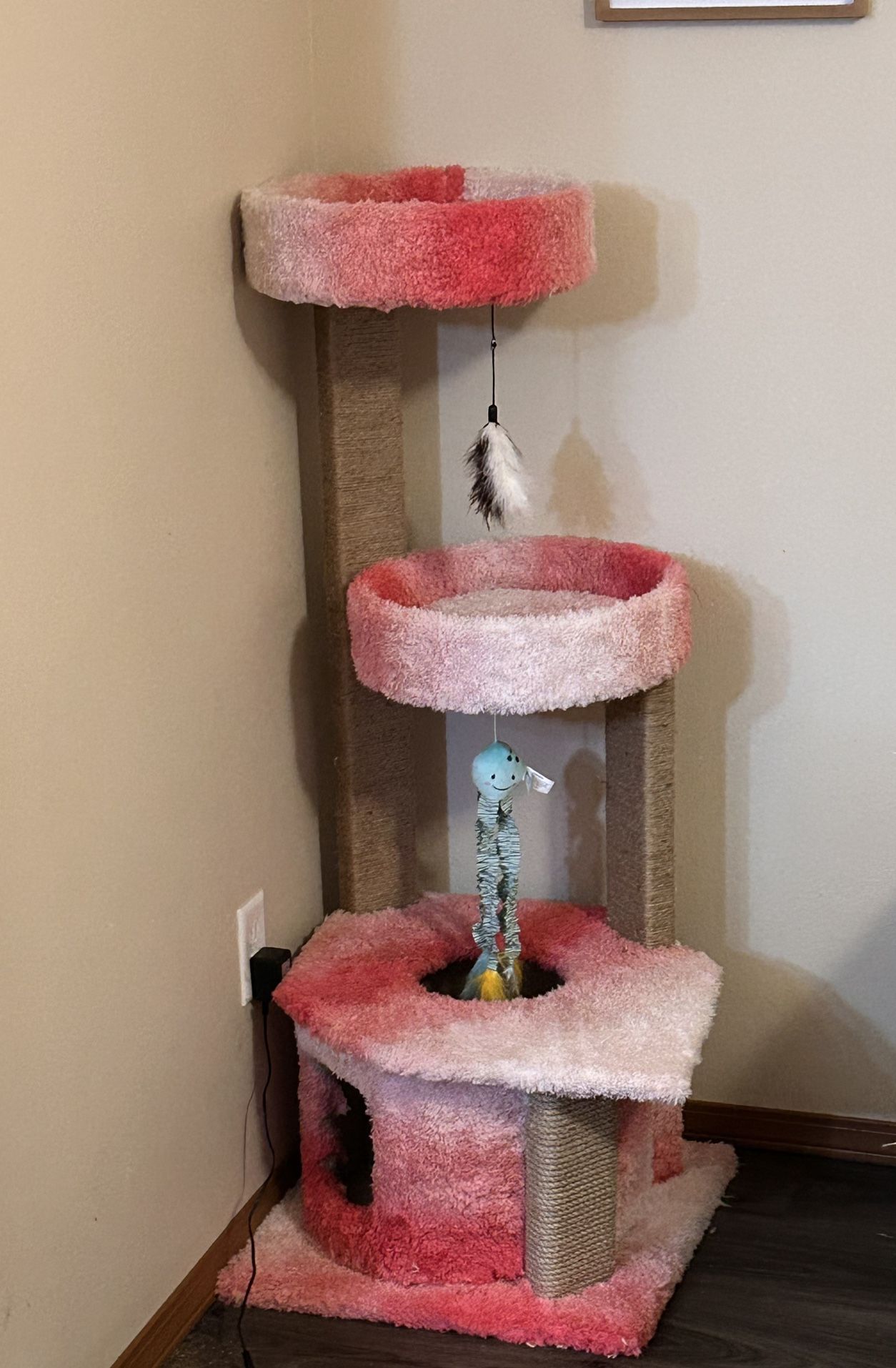 Cat House