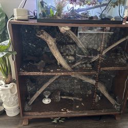 Custom Enclosure (Ball Python Included)