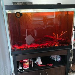 Fish Tank