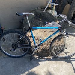 bike