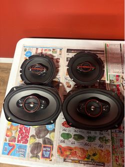 Pioneer speaker set
