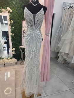 Gorgeous Wedding dress and veil