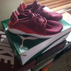 Puma