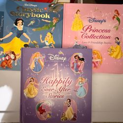 Princess Books  Set Of 3 Big Books 