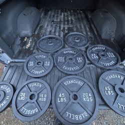 Olympic Iron Weight Plates – 365 lbs – Clean, Like New