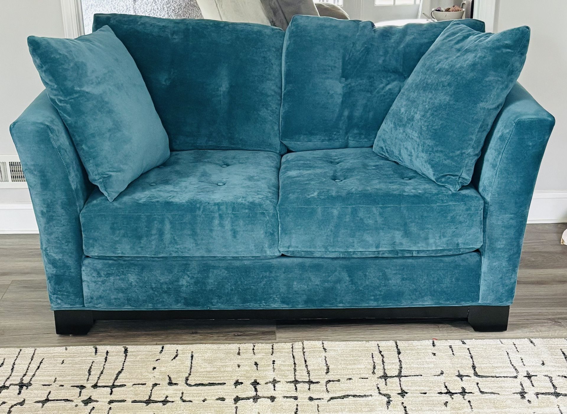 Teal Loveseat (minimal use)