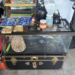 40 Gallon Terrarium With Accessories