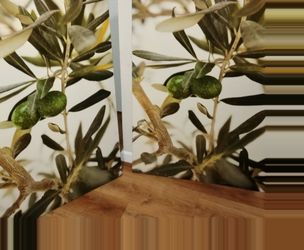 OLIVE TREE CANVAS PRINTS