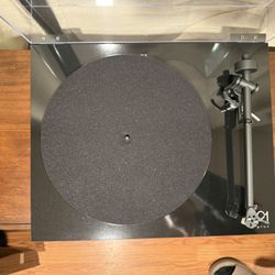 Rega Plana 1 Plus (With Phono Preamp)