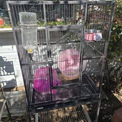 Small Mammal Enclosure