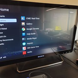 2010 Sony BRAVIA GT1 Internet TV (NSX-24GT1)