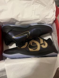 Nike Kobe 5 Protro Year of the Mamba Eggplant 