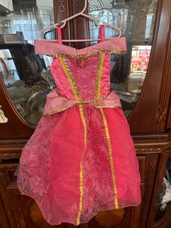 Princess Aurora Costume