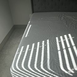 Queen-size Bed and Memory Foam Bed