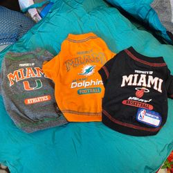 Tiny Dog Clothes/Accessories Bundle
