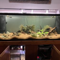 150 Gallon Tank Dual Overflow With Stand 