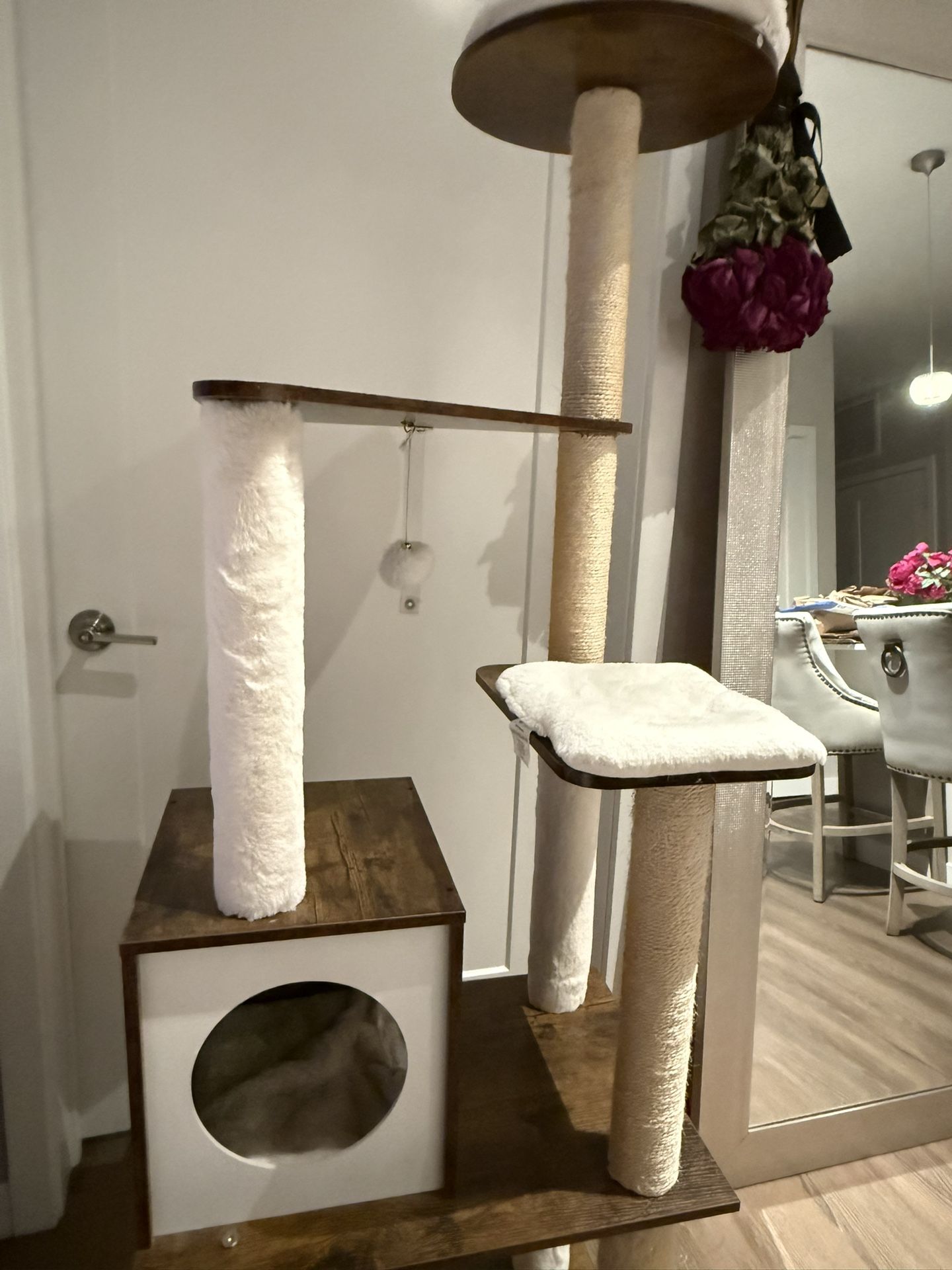 Cat House
