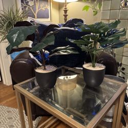 2 Beautiful Small Faux Plants In Pots 