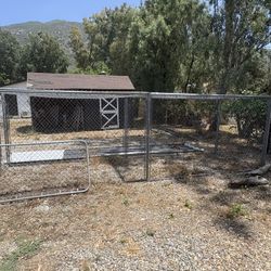 Dog Kennel