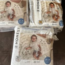 New Honest brand train pants pull-ups size 2-3T  One pack is open and missing 1
