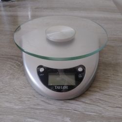 Taylor Precision Products Digital Kitchen Scale

