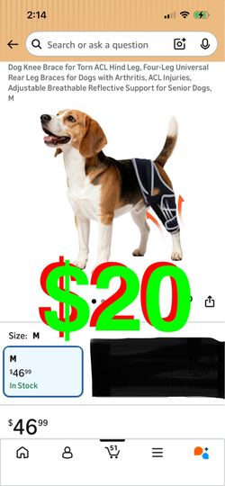 Dog Knee Brace for Torn ACL Hind Leg, Four-Leg Universal Rear Leg Braces for Dogs with Arthritis, ACL Injuries, Adjustable Breathable Reflective Suppo