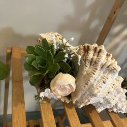Beautiful Large Seashell With A Real Succulent and Small Rose For You Or Someone Special 