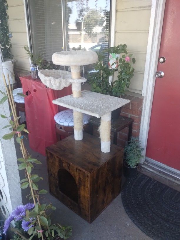 Cat House/Play Ground 