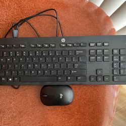 HP Keyboard + Logitech Mini Mouse Combo