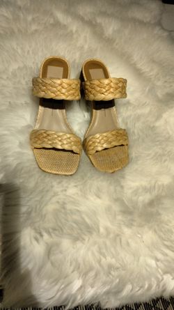 Dolce Vida Raffia Shoes