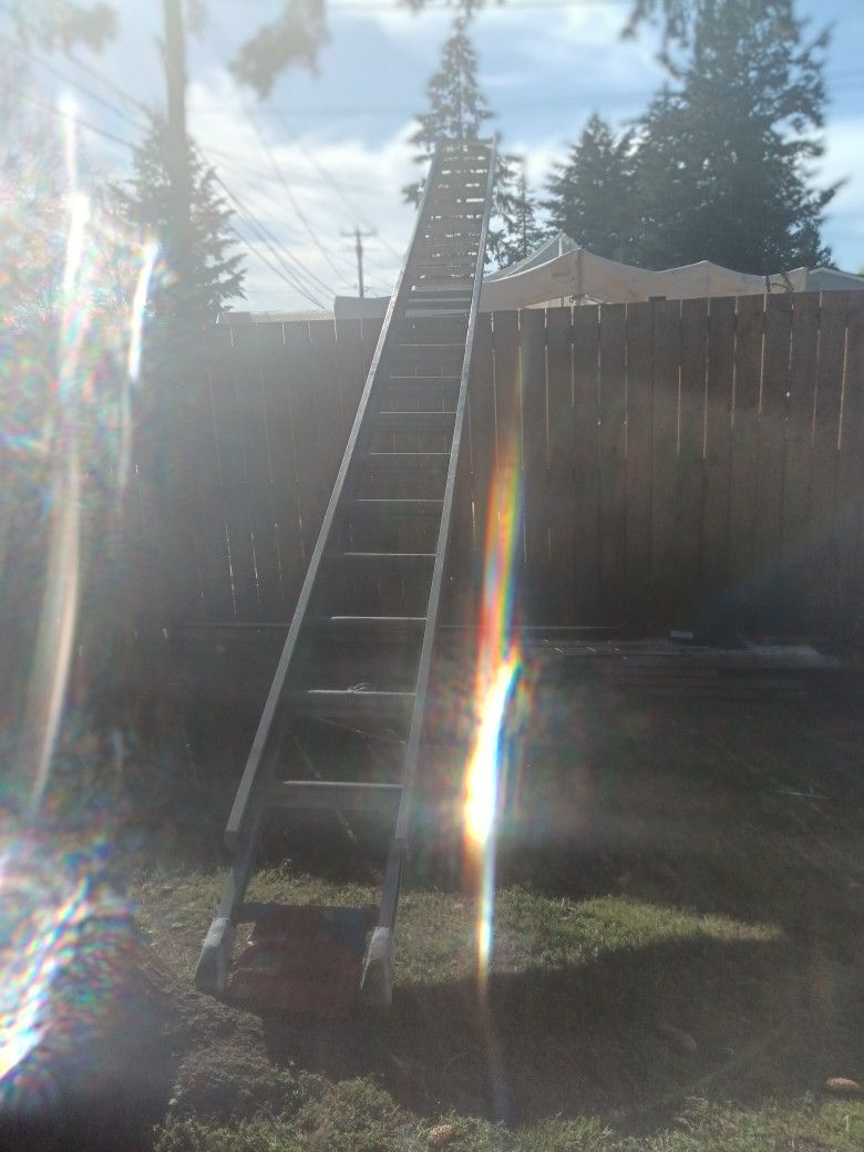 40 Foot Ladder