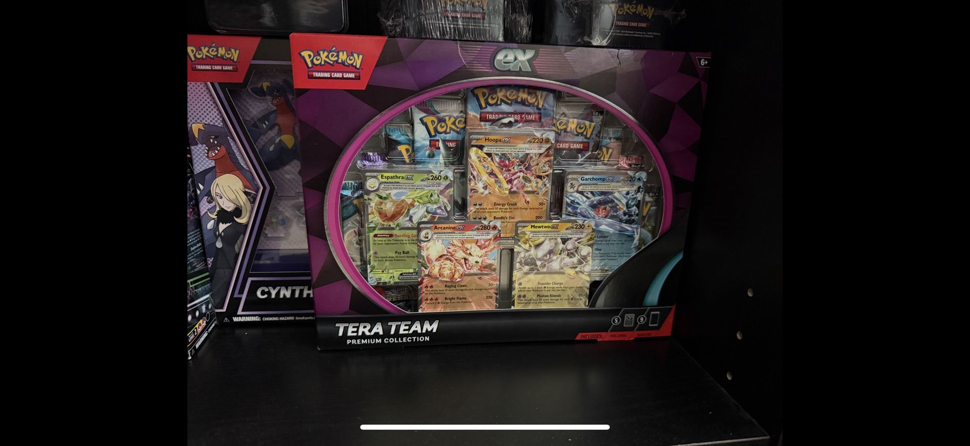 Pokemon Tera Team Premium Collection Box