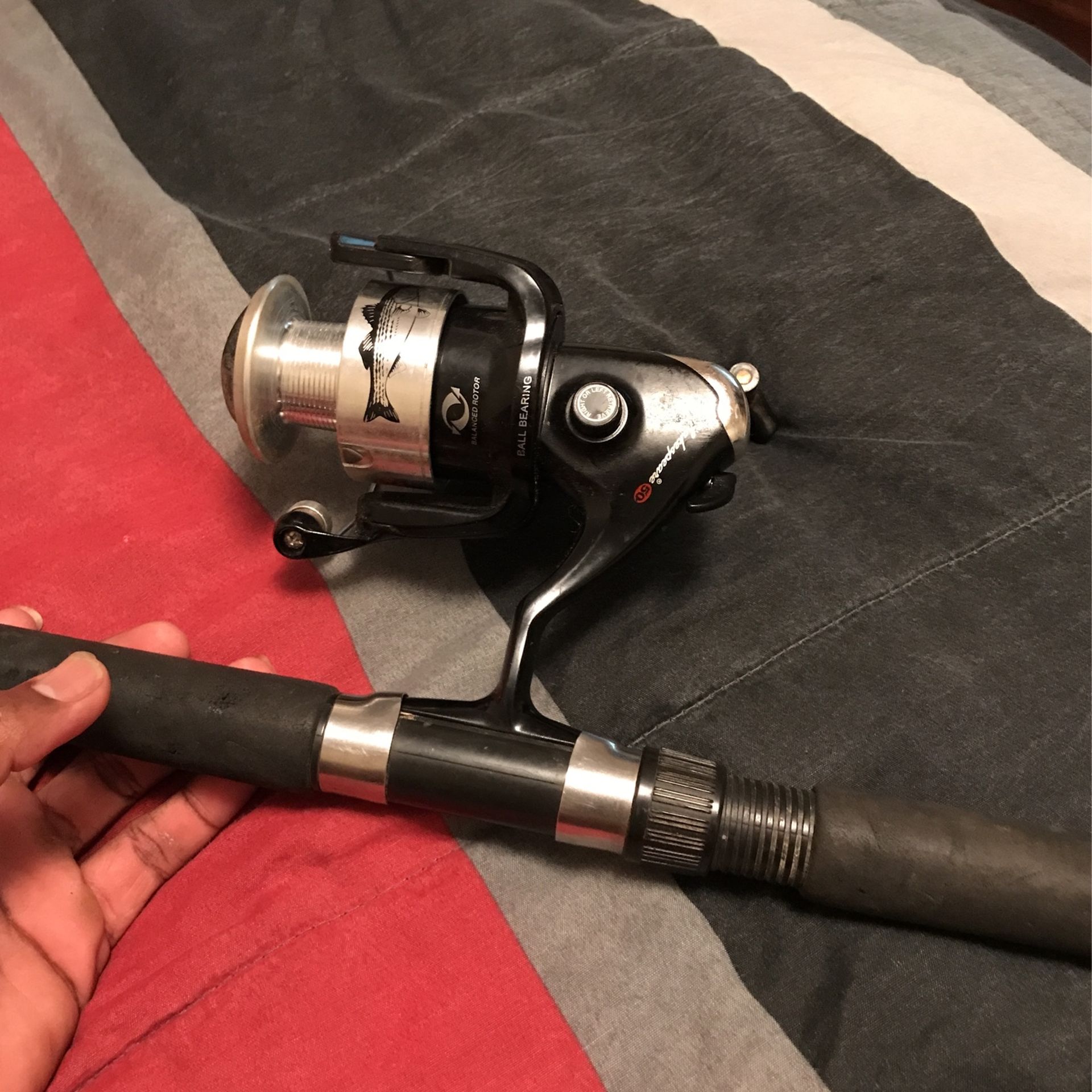 Striper Bass Fishing Rod