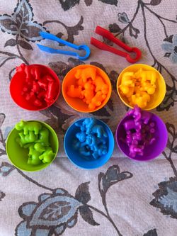 Montessori Colorful Animal Sorting & Counting Set — Fine Motor Skills Toy