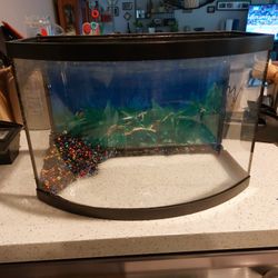Curved Glass Fishtank
