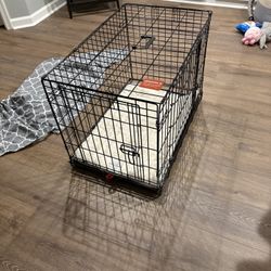 Double Door Medium Dog Crate 