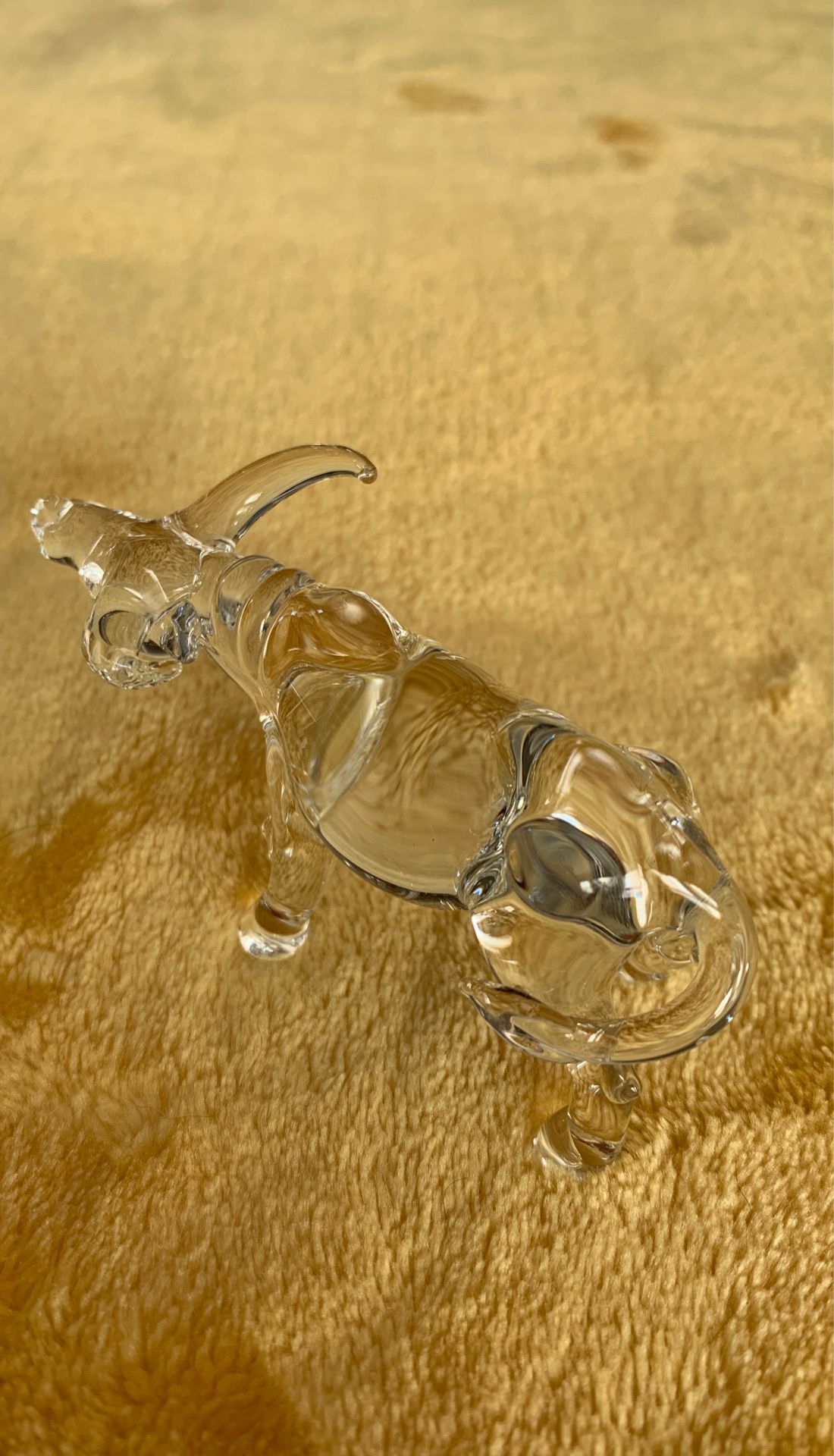 Glass bull/oxen...No Chips!