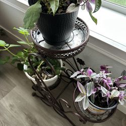 Flowers Rack 