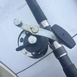 Berkeley Pole/ Penn Reel 