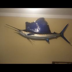 Sailfish