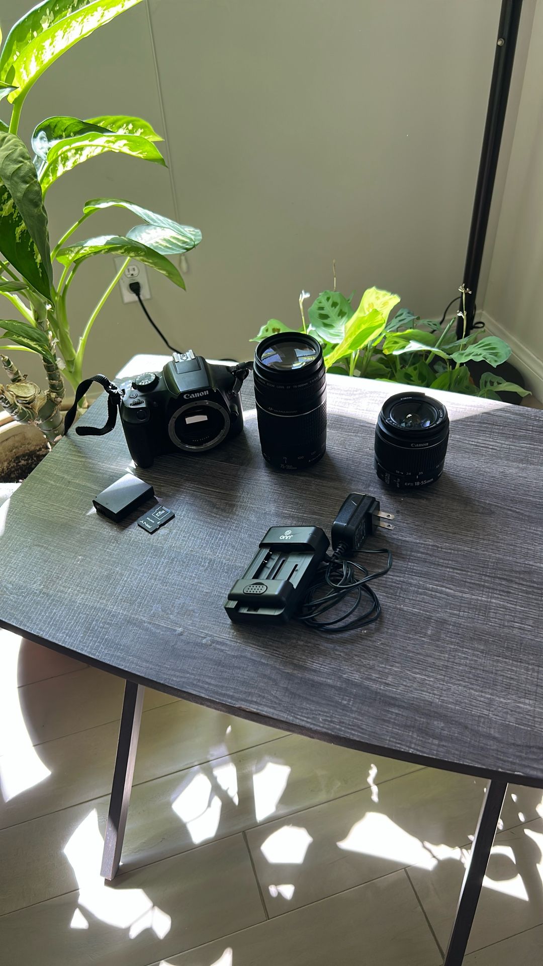 Canon Rebel T6 +lens